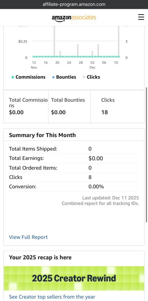 Best Amazon Associates Review 2025: Is it worth it for beginners?